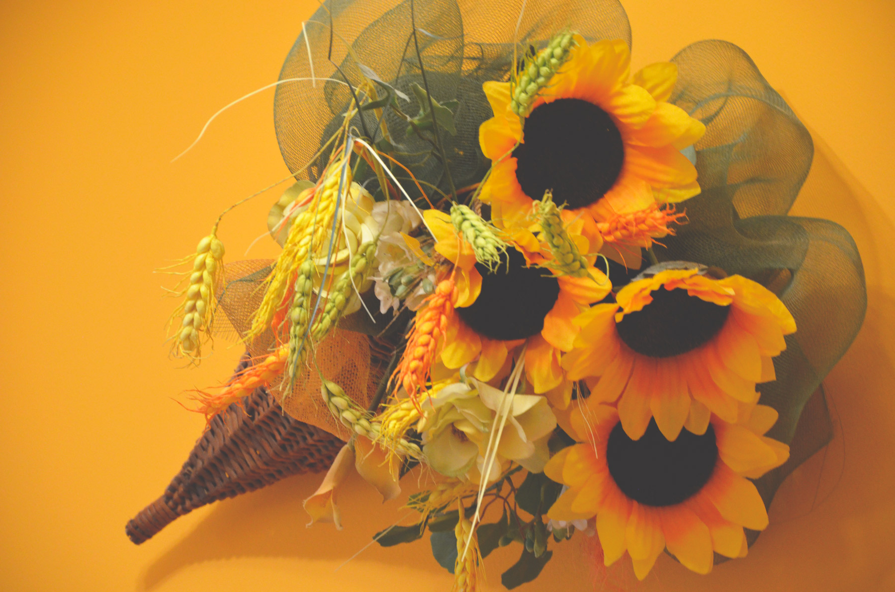 capezzale-girasole